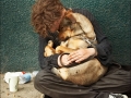 homeless_sleeping_dog